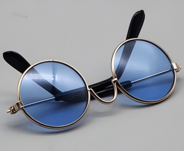 Transparent Blue Sunglasses